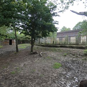 Sitatunga enclosure