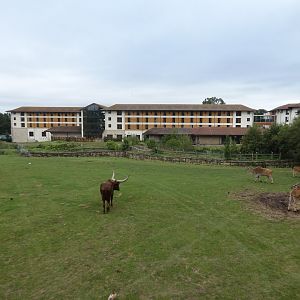 View of hotel