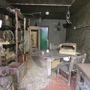 Raccoon indoor enclosure