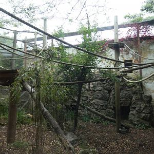 Binturong enclosure
