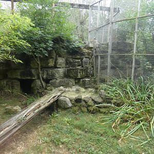 Caracal enclosure