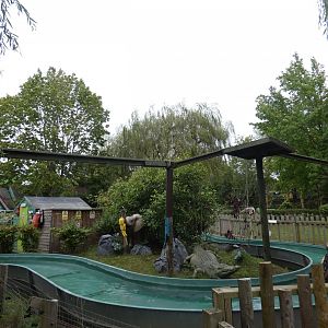 Rainforest: Coati walkways