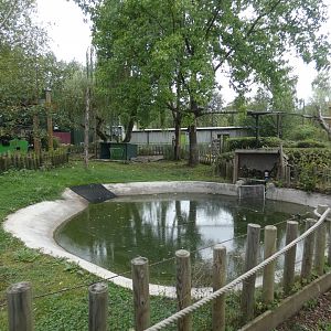 Rainforest: Capybara enclosure