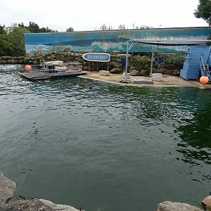Californian sea lion enclosure
