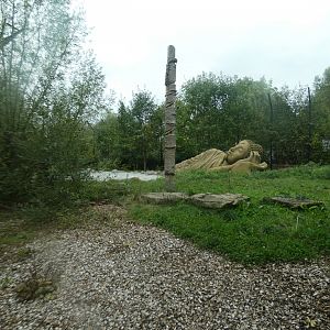 Siberian tiger enclosure
