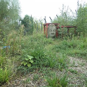 Siberian tiger enclosure