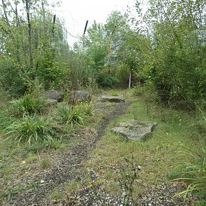 Siberian tiger enclosure