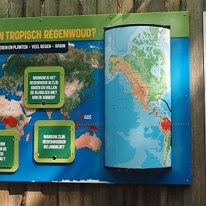 Tropical rainforest and strangler fig educational signage, 2024-08-18
