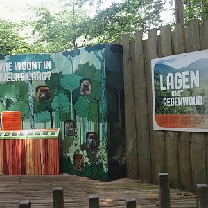 Layers of tropical rainforests educational signage, 2024-08-18