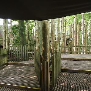 South American monkey walk-through area - Monkey tree-top path, 2024-08-18