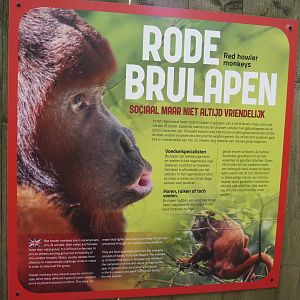 South American monkey walk-through area - Venezuelan red howler monkey signage, 2024-08-18