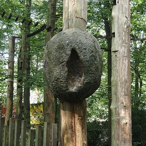 South American monkey walk-through area with the monkey tree-top path - Fake tree termite nest, 2024-08-18