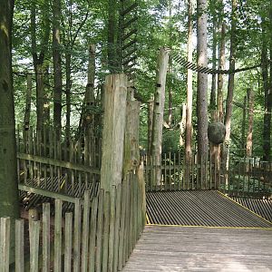 South American monkey walk-through area - Monkey tree-top path, 2024-08-18