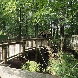 South American monkey walk-through area - Monkey tree-top path, 2024-08-18