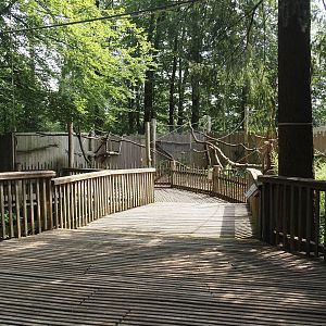 South American monkey walk-through area - Monkey tree-top path and monkey area next to it, 2024-08-18