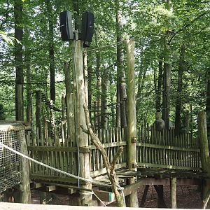 South American monkey walk-through area - Monkey tree-top path, 2024-08-18