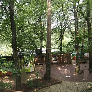 South American monkey walk-through area - View from the Monkey tree-top path, 2024-08-18