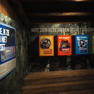 Rainforest animal sight signage, 2024-08-18