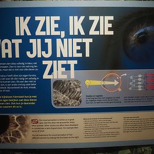 Human and animal sight signage, 2024-08-18