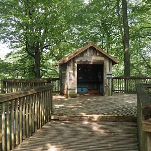 South American monkey walk-through area - Play cabin on the monkey tree-top path, 2024-08-18