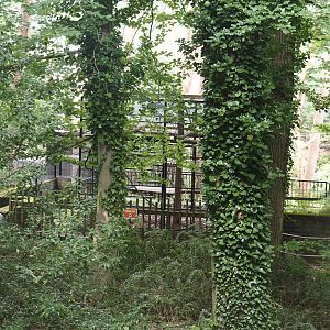 Off-show cage for Colombian black spider monkeys, 2024-08-18