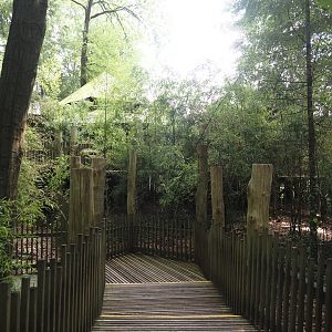 South American monkey walk-through area - Descending part of the monkey tree-top path, 2024-08-18