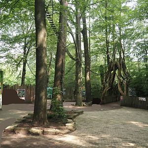 South American monkey walk-through area, 2024-08-18