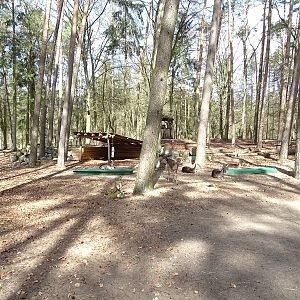 Walk-through enclosure for fallow deer