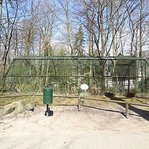 Aviary for snowy owls