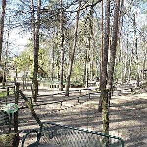 Walk-through enclosure for red-necked wallabies