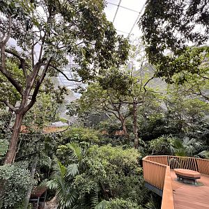 General View into the Aviary