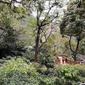 General View into the Aviary