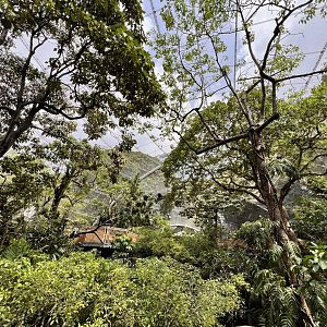 General View into the Aviary
