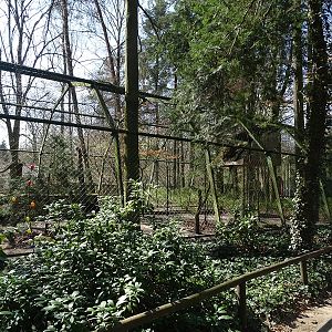 Aviary for European eagle-owl