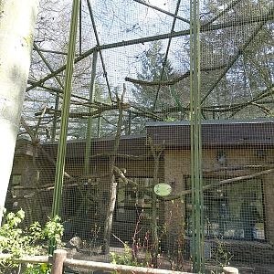 Lemur enclosures, front side