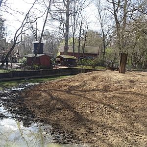 European wild boar enclosure