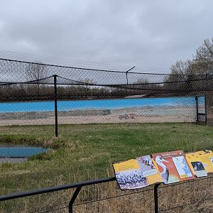 Hooded crane exhibit