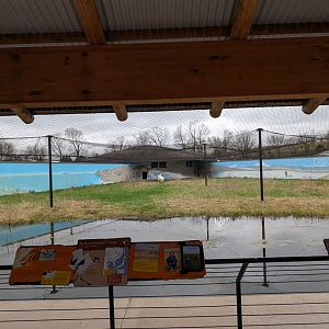 Red crowned crane exhibit