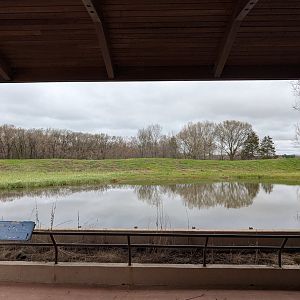 Whooping crane exhibit