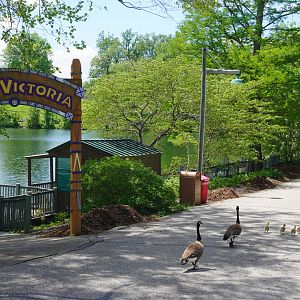 May. 2025 - Port Victoria + Goose Family