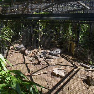 May. 2025 - Children's Enchanted Forest - Cape Porcupine Exhibit