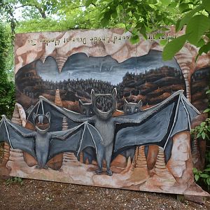 May. 2025 - Children's Enchanted Forest - Bat Photo Opportunity