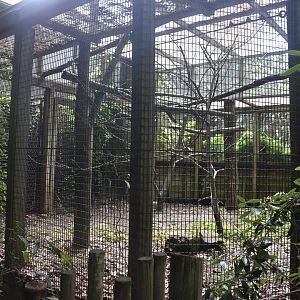 May. 2025 - Children's Enchanted Forest - Laughing Kookaburra Exhibit