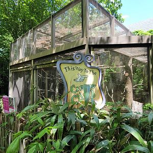 May. 2025 - Children's Enchanted Forest - Laughing Kookaburra Exhibit