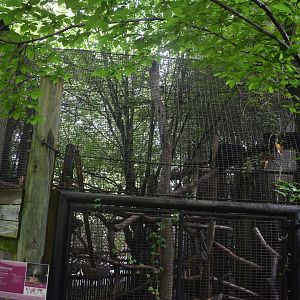 May. 2025 - Children's Enchanted Forest - Bearcat Exhibit Upper Half
