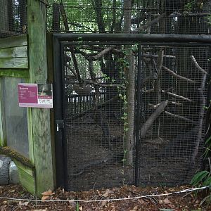 May. 2025 - Children's Enchanted Forest - Bearcat Exhibit Lower Half