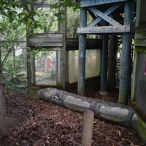 May. 2025 - Children's Enchanted Forest - Bearcat Exhibit Middle