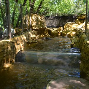 May. 2025 - Children's Enchanted Forest - River Otter Exhibit (Tunnel)