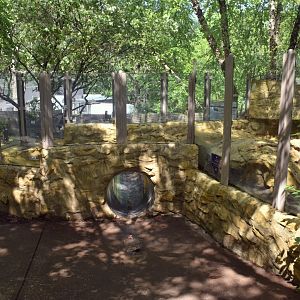 May. 2025 - Children's Enchanted Forest - River Otter Exhibit