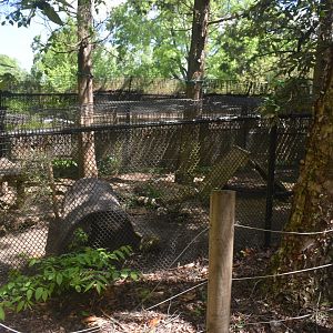 May. 2025 - Children's Enchanted Forest - River Otter Exhibit
